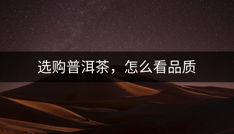 選購普洱茶，怎么看品質