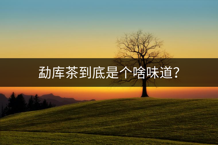 勐庫(kù)茶到底是個(gè)啥味道？