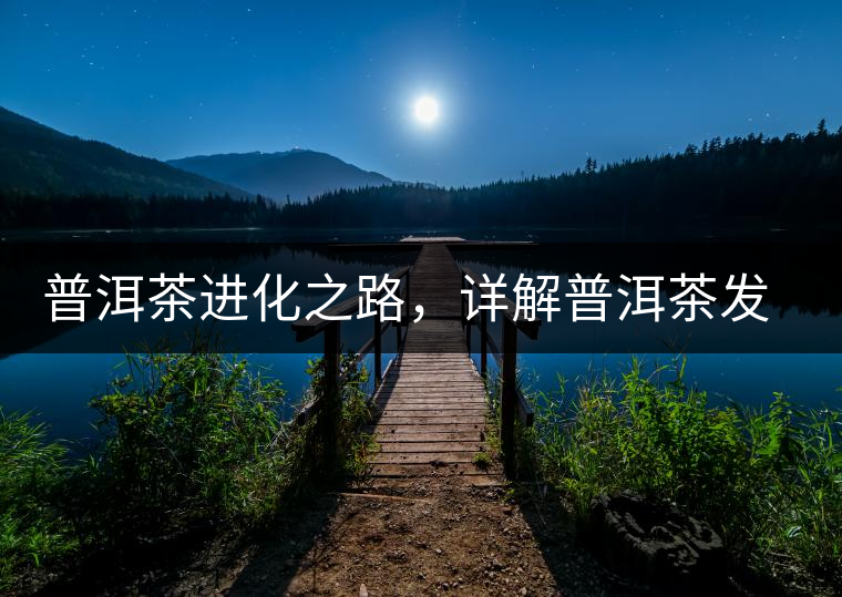普洱茶進化之路，詳解普洱茶發(fā)展的三大重要階段