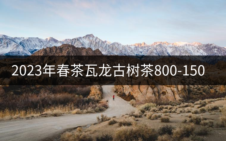 2023年春茶瓦龍古樹(shù)茶800-1500元／公斤