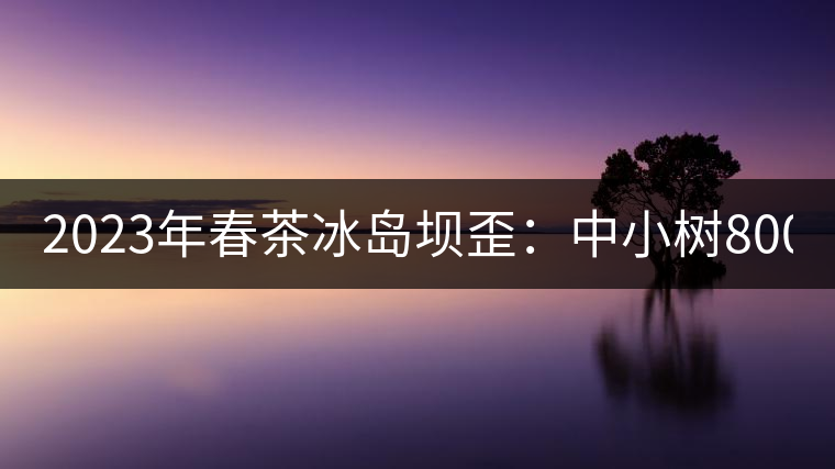 2023年春茶冰島壩歪：中小樹800元／公斤，古樹1400-1600元／公斤
