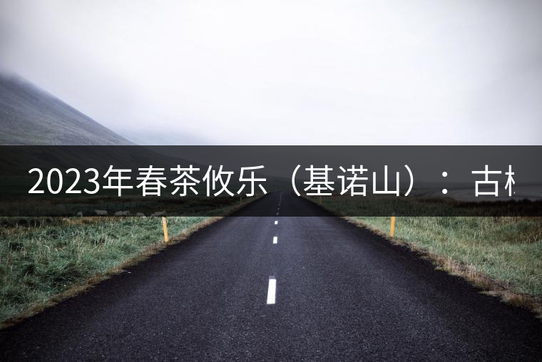 2023年春茶攸樂（基諾山）：古樹1200元／公斤，喬木：400-500元／公斤