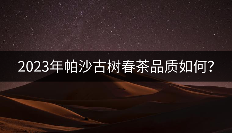 2023年帕沙古樹春茶品質(zhì)如何？
