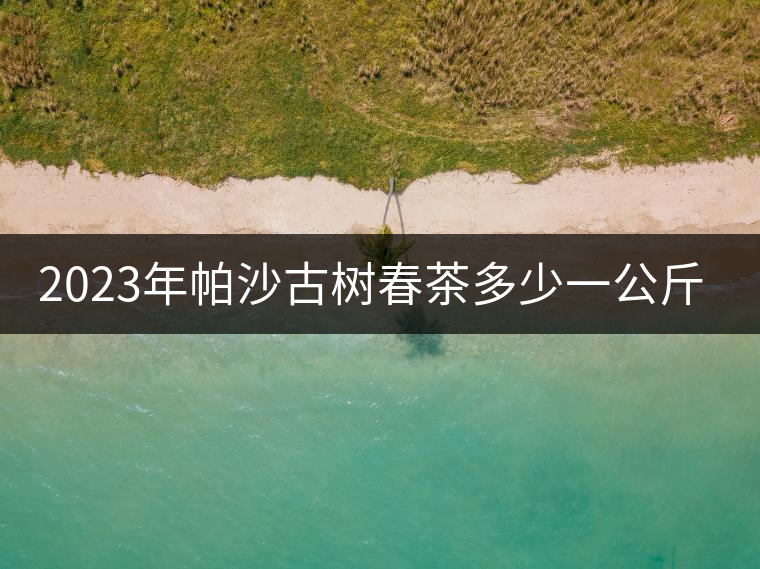 2023年帕沙古樹春茶多少一公斤？