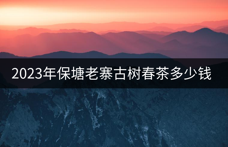 2023年保塘老寨古樹春茶多少錢一公斤？
