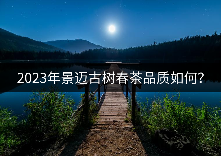 2023年景邁古樹春茶品質(zhì)如何？