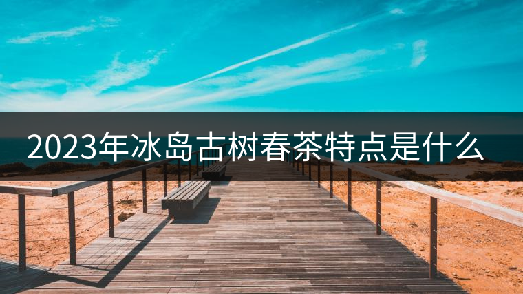 2023年冰島古樹春茶特點是什么？