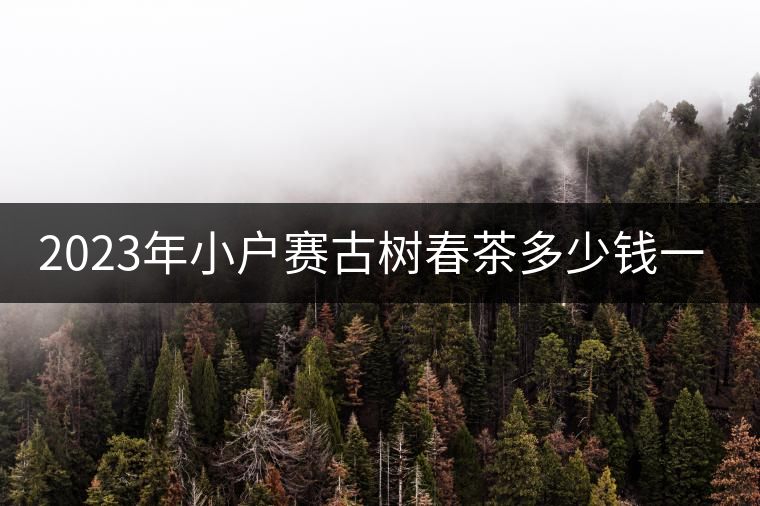 2023年小戶賽古樹春茶多少錢一公斤？