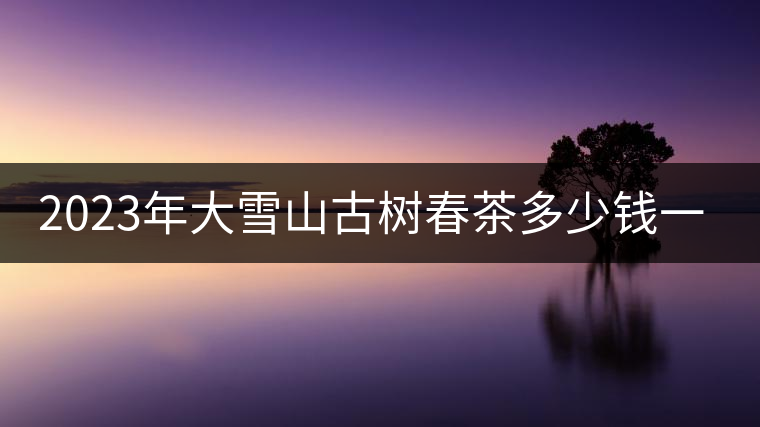 2023年大雪山古樹春茶多少錢一公斤？