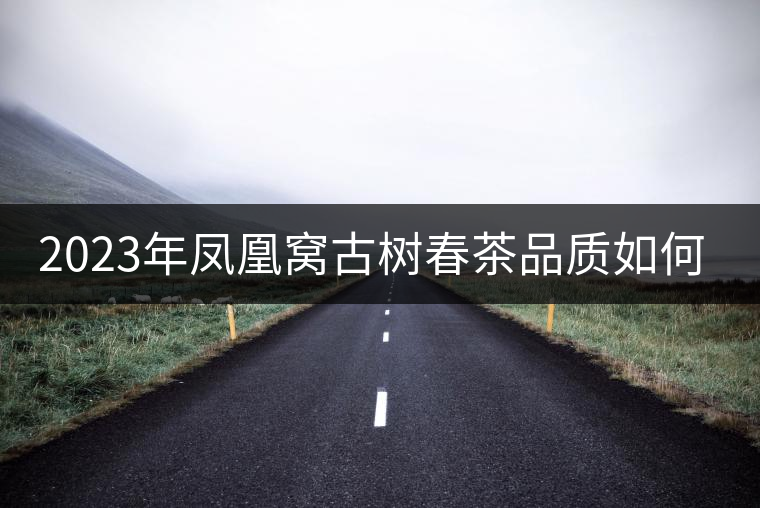 2023年鳳凰窩古樹(shù)春茶品質(zhì)如何？