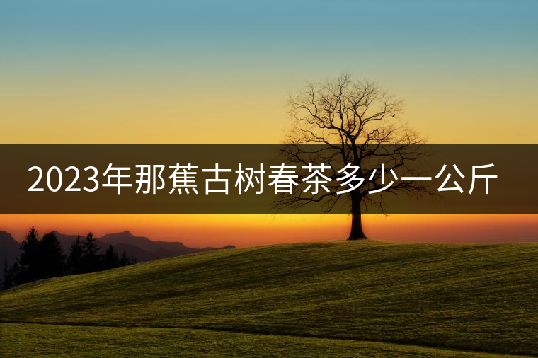 2023年那蕉古樹春茶多少一公斤？