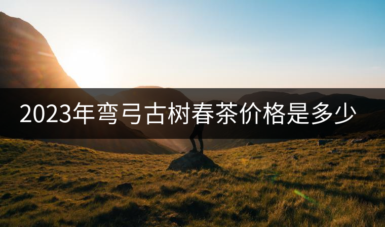 2023年彎弓古樹(shù)春茶價(jià)格是多少？