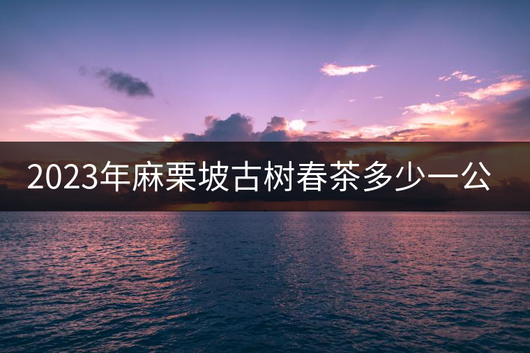 2023年麻栗坡古樹春茶多少一公斤? 2023年麻栗坡古樹春茶多少一公斤?