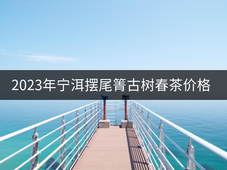 2023年寧洱擺尾箐古樹春茶價(jià)格是多少？
