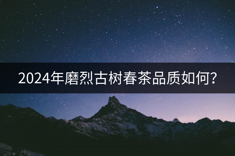 2024年磨烈古樹春茶品質(zhì)如何？