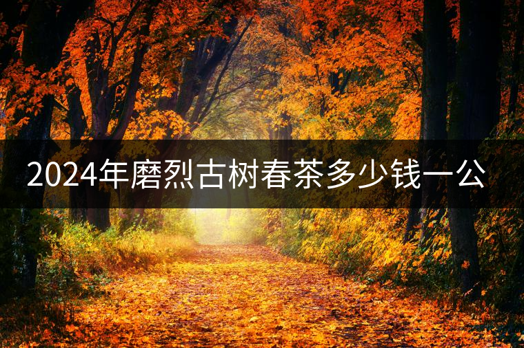 2024年磨烈古樹春茶多少錢一公斤？
