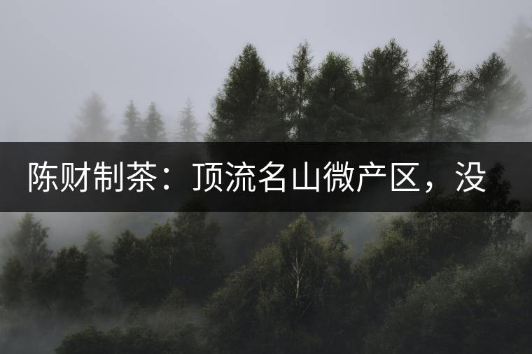 陳財制茶：頂流名山微產區(qū)，沒有意義的意義
