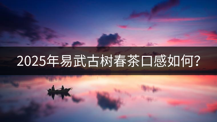2025年易武古樹(shù)春茶口感如何？