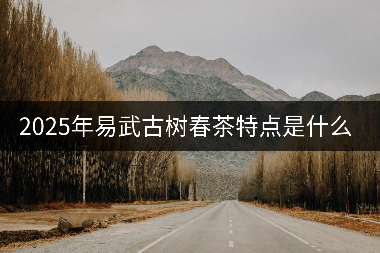 2025年易武古樹春茶特點是什么？