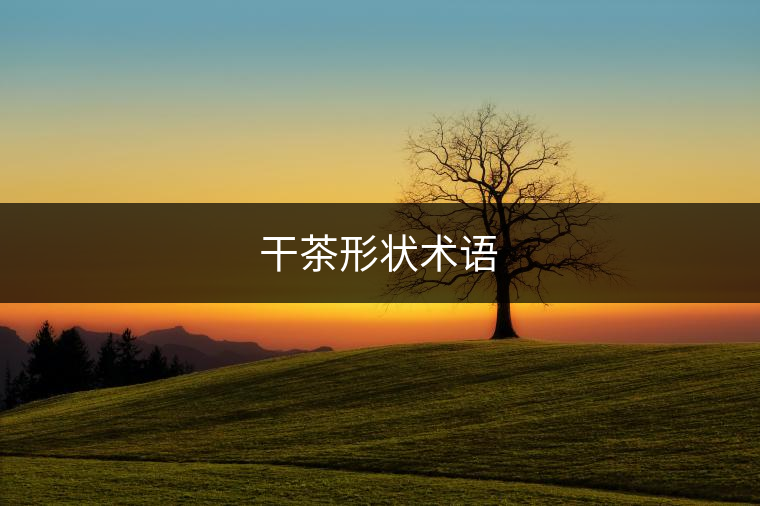 干茶形狀術(shù)語(yǔ) 干茶形狀術(shù)語(yǔ)