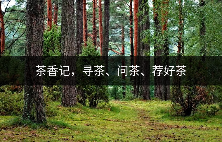 茶香記，尋茶、問茶、薦好茶