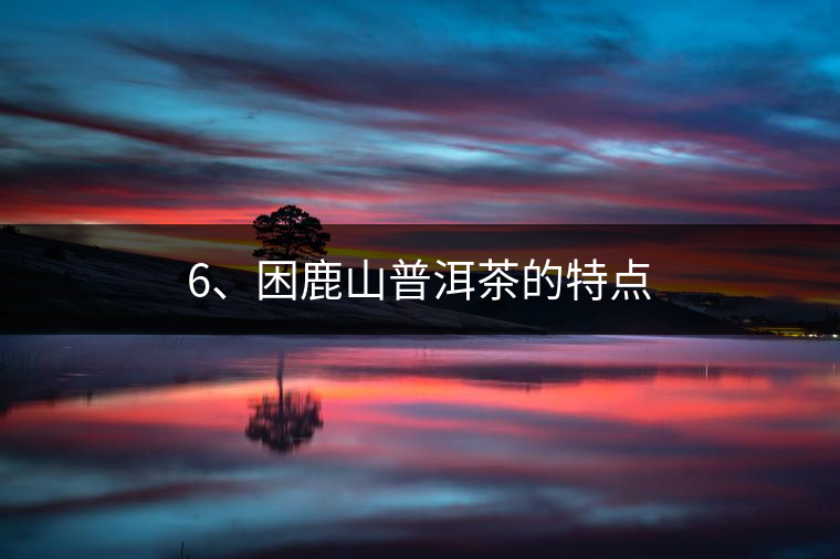 6、困鹿山普洱茶的特點(diǎn)