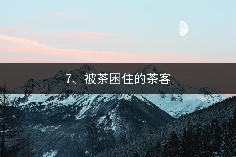 7、被茶困住的茶客