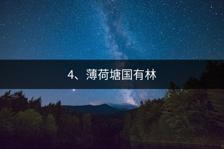 4、薄荷塘國有林