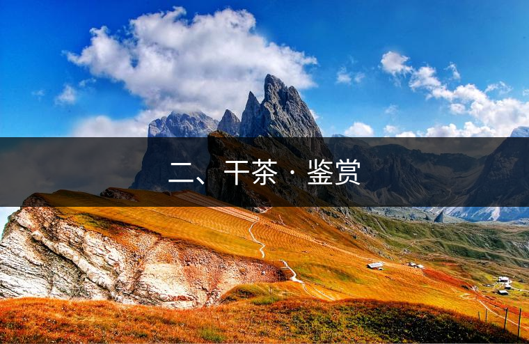 二、干茶 · 鑒賞