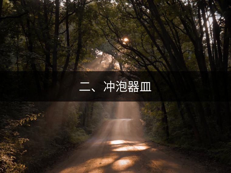 二、沖泡器皿