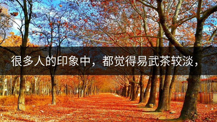 很多人的印象中，都覺得易武茶較淡，但存放幾年后，再喝又覺得茶味茶氣變濃了。我們就這個問題，考察了易武古茶山，和走訪了當地茶農。我們發(fā)現這跟易武古樹茶的茶質和茶農制茶的傳統工藝有關。