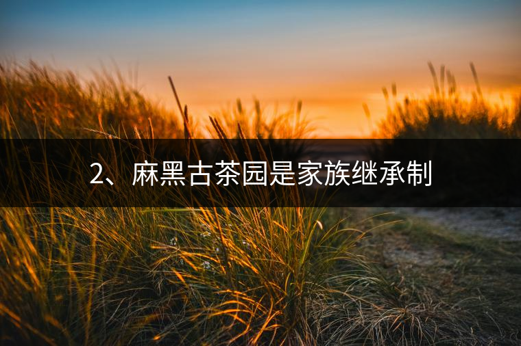 2、麻黑古茶園是家族繼承制