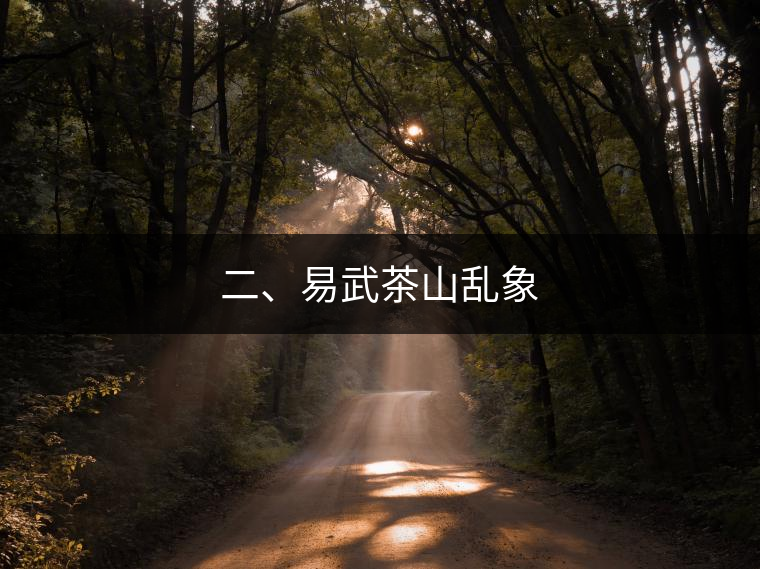 二、易武茶山亂象