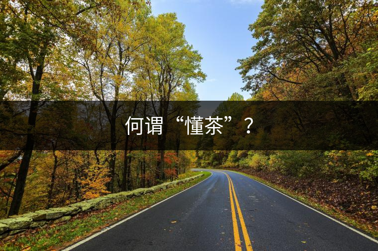 何謂“懂茶”？