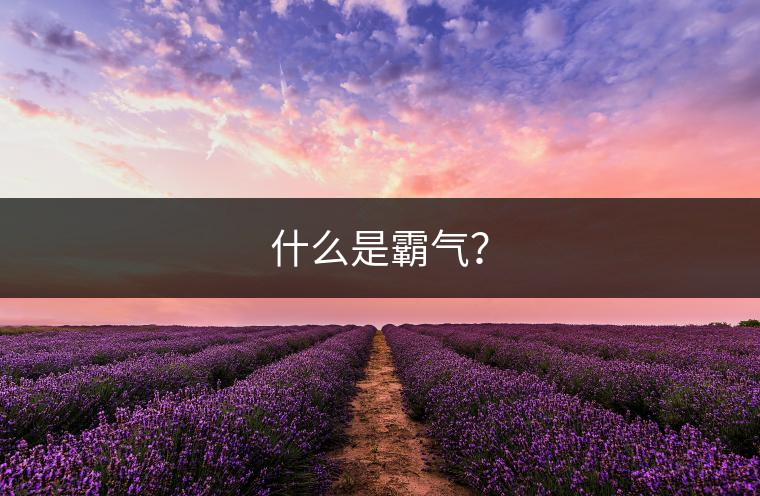 什么是霸氣？