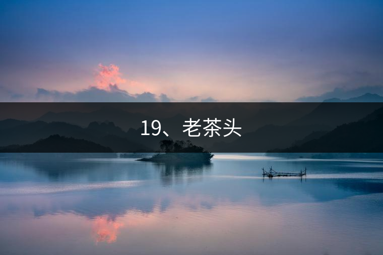 19、老茶頭