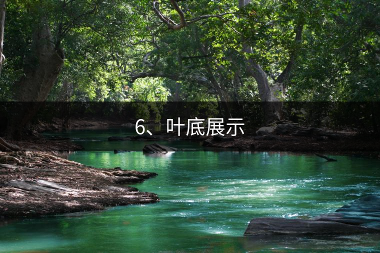 6、葉底展示