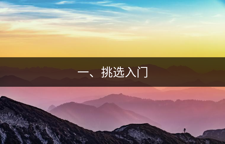 一、挑選入門