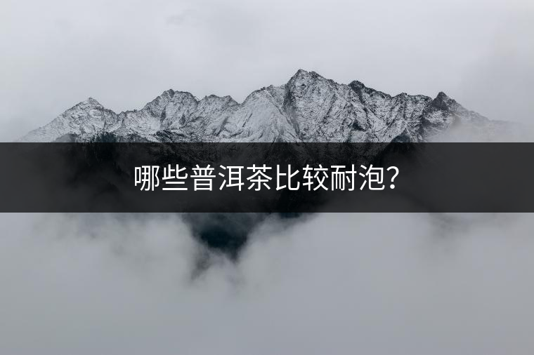 哪些普洱茶比較耐泡？