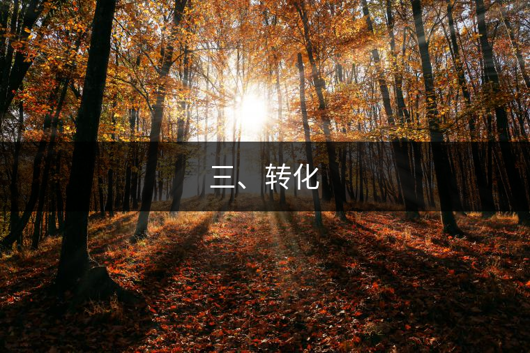 三、轉(zhuǎn)化
