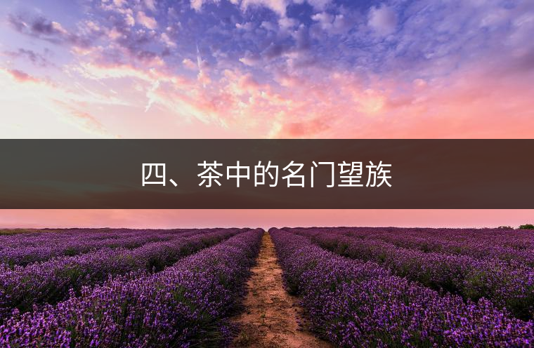 四、茶中的名門(mén)望族