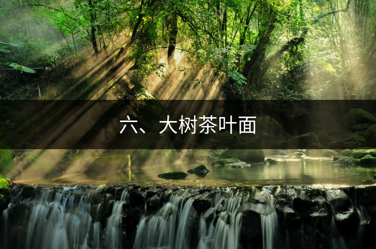 六、大樹茶葉面