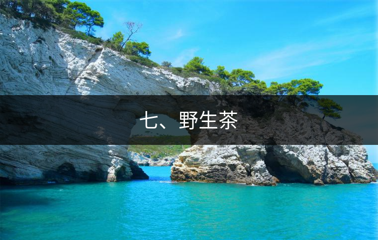 七、野生茶