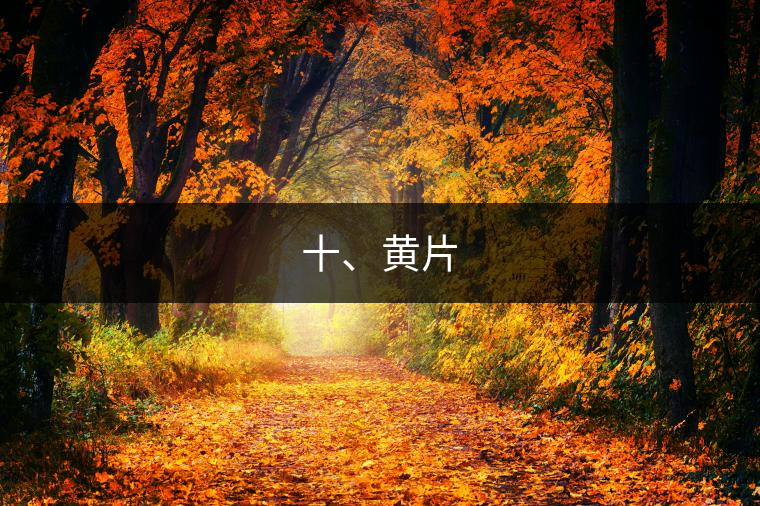 十、黃片