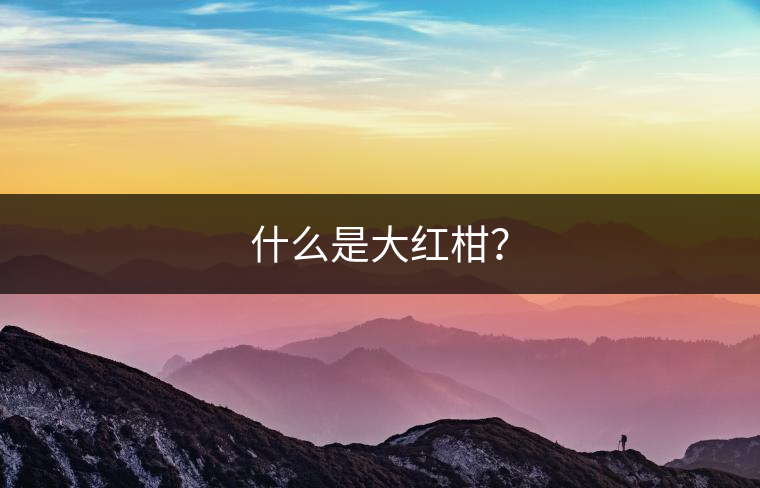什么是大紅柑？