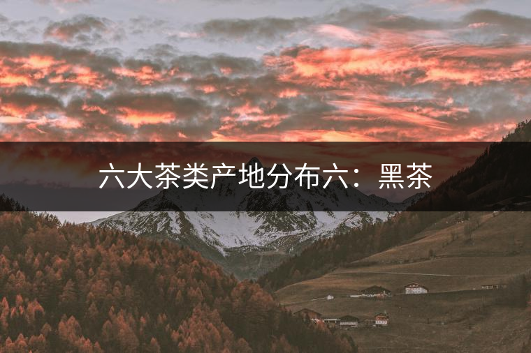 六大茶類(lèi)產(chǎn)地分布六：黑茶