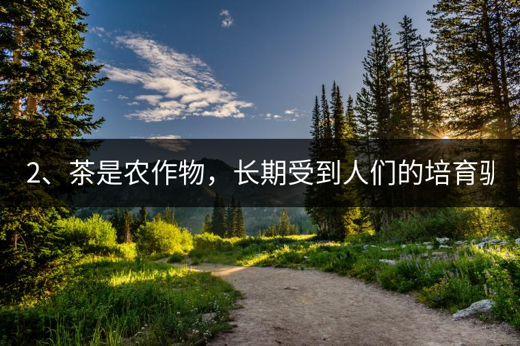 2、茶是農(nóng)作物，長期受到人們的培育馴化。