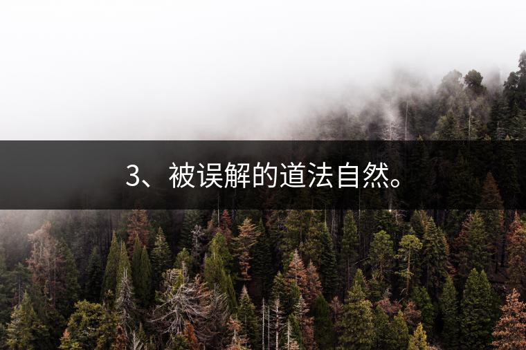 3、被誤解的道法自然。