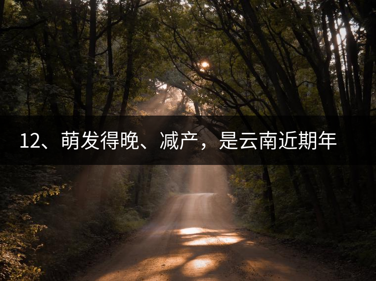 12、萌發(fā)得晚、減產(chǎn)，是云南近期年氣候變化在茶樹上的延遲反映。