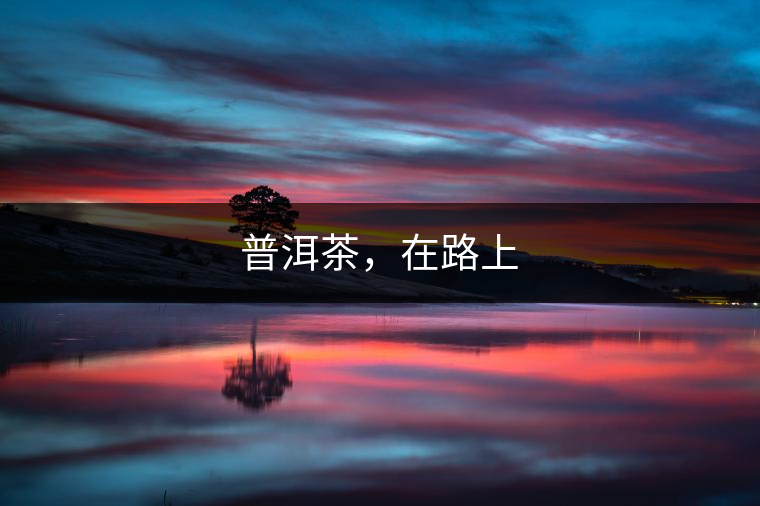 普洱茶，在路上